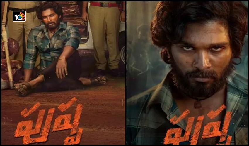 పుష్పలో విలన్ ఎవరు ? | Who is the villain in the Pushpa Film