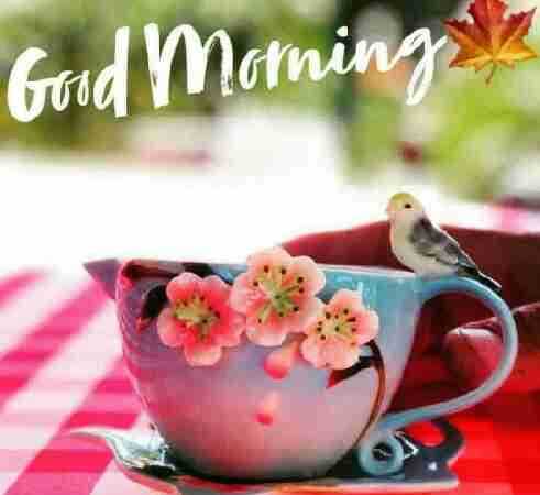 sonu kumar profile picture