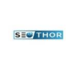 SEO THOR Profile Picture