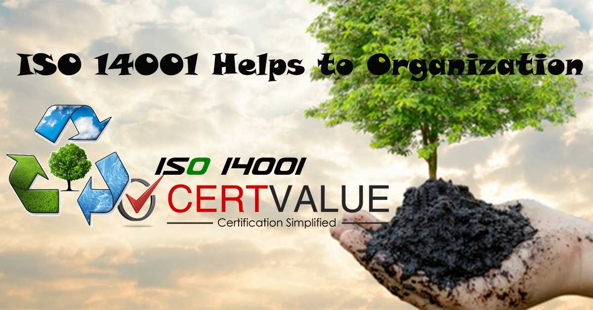 Examples Of ISO 14001 Objectives Based On The Different Organizations Sizes