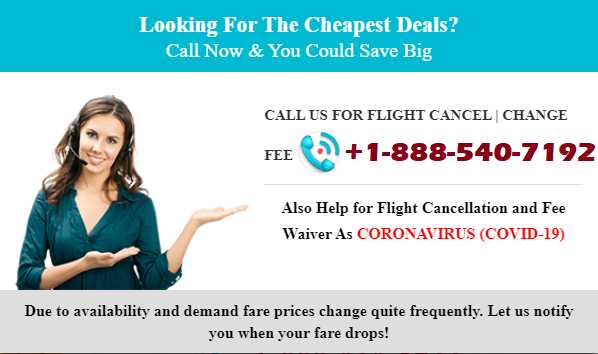 How to Cancel Spirit Airlines Flight