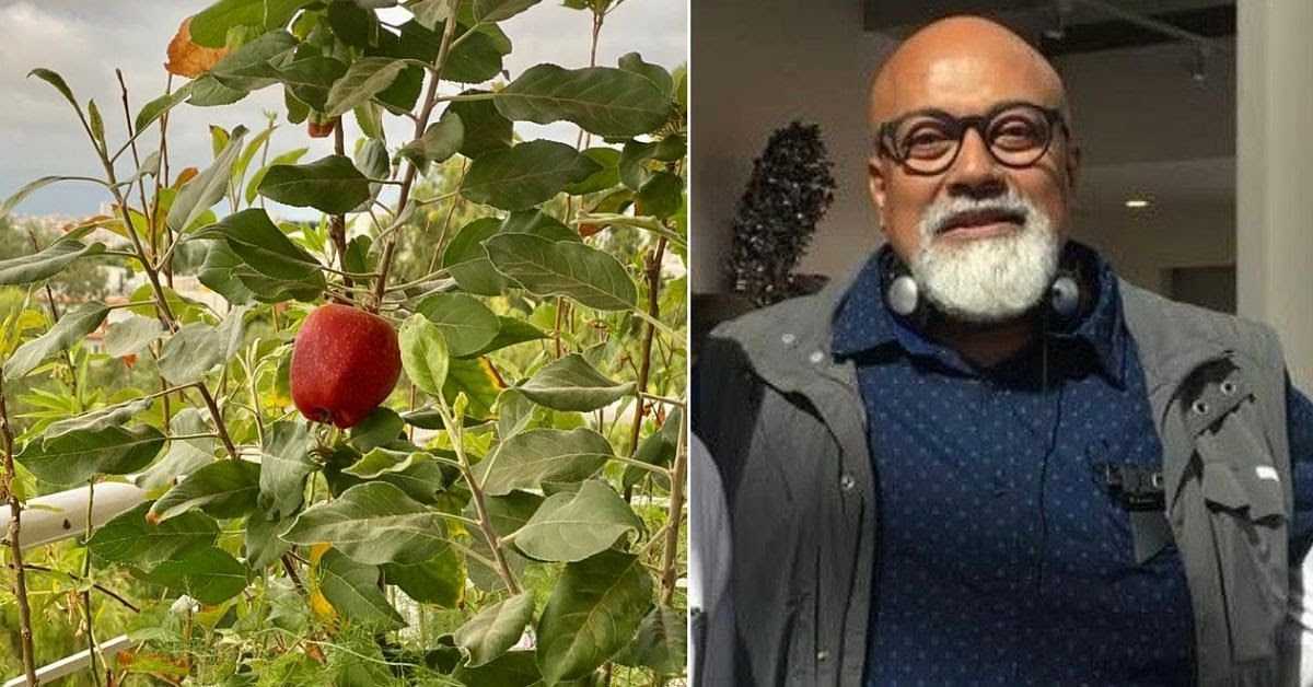 எல்லா ஆப்பிள் மரங்களுக்கும் மலைகள் தேவையில்லை: இந்த பெங்களூரு மனிதன் தனது பால்கனியில் வளர்கிறார்