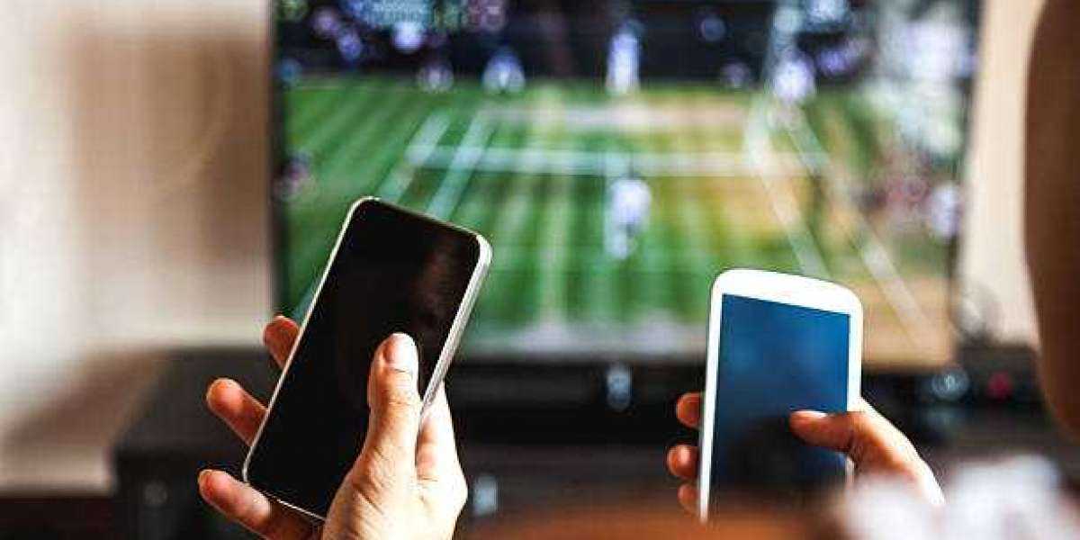 Top 5 online sports betting sites to bet on.
