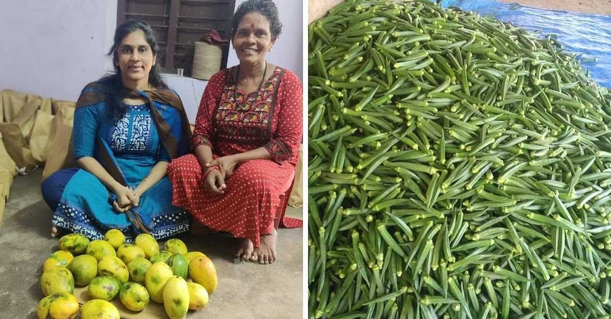 14 ஆண்டுகளுக்குப் பிறகு, இந்திய பெண் கனடாவை விட்டு தமிழ்நாட்டில் இயற்கை விவசாயியாக மாறுகிறார்