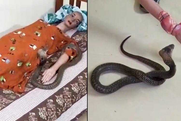 Police reconstruct Kerala woman's murder using cobra and dummy
