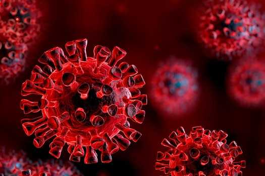 Delta variant found in 80% samples sent for genome sequencing in 3 months in Delhi