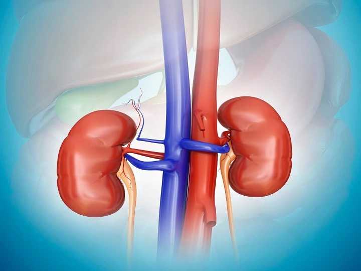 Chennai Man Walks Out Of Hospital With Five Kidneys After Third Kidney Transplant Surgery Turns Successful