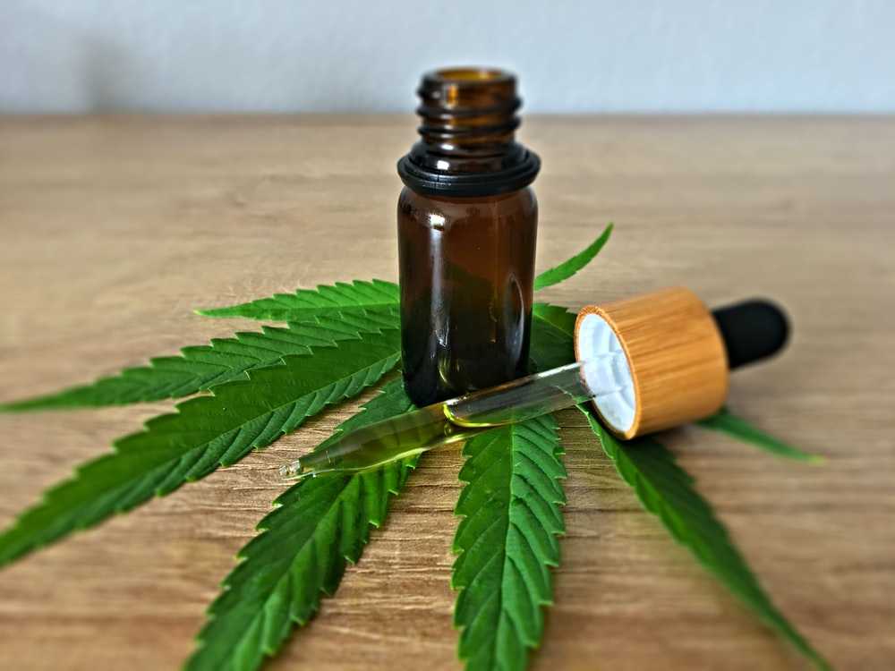 CBD kick Oil (Critical Warning!) Real Scam Complaints?