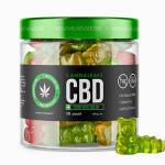 Lisa Laflamme CBD Gummies Profile Picture