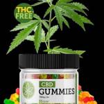 Natures Only CBD Gummies Profile Picture