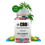 Nordic CBD Gummies UK Profile Picture