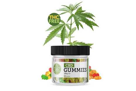 Calmwave CBD Gummies Canada - Reviews Shark Tank - {SCAM OR LEGIT} IT IS WORTH OF MONEY? READ NOW BEFORE BUY!