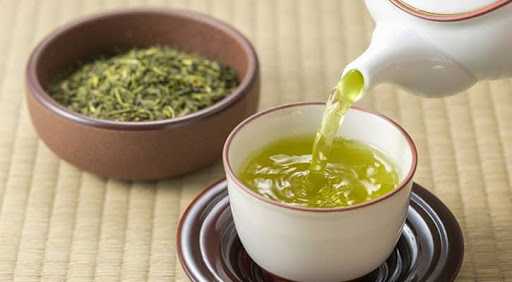 4 Tips for Choosing the Best Green Tea Option!