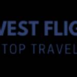 Lowest Flight Fare profile picture
