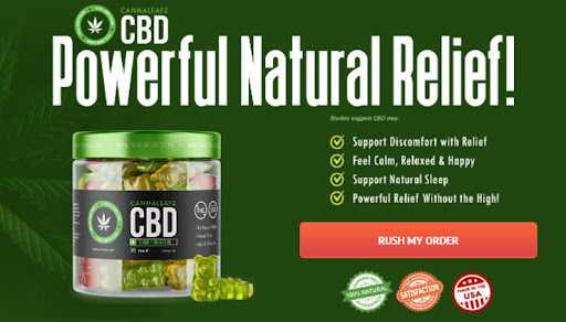 Green Dolphin CBD Gummies Get Powerful
