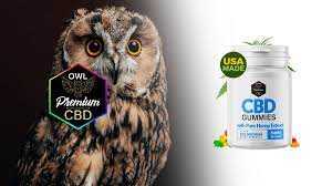 Owl CBD Gummies Review: Premium CBD with Pure ...