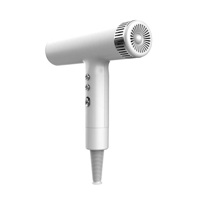 best lightweight professional hair dryer