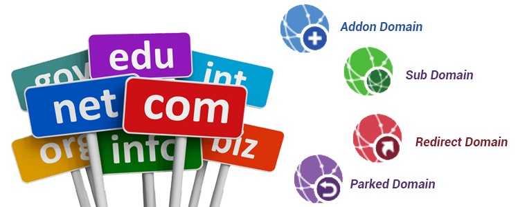 5 basic domain Addons to buy for secure web-based presence
