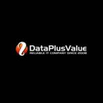 Data Plus Value Web Services Profile Picture