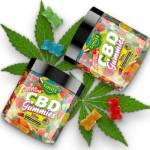 Kelly Clarkson CBD Gummies Profile Picture
