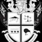 the Investigator Profile Picture