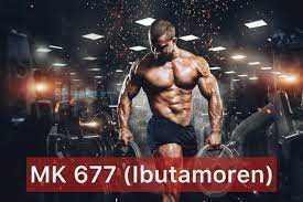 Ibutamoren MK 677 RESULTS: MK 677 Dosage, Side Effects, Before and After