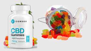 Sanjay Gupta CBD Gummies The Ideal Product for Joint Pain Relief!