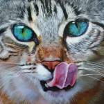 Derrick Bozem Profile Picture