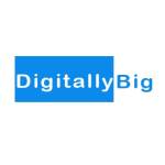 Digitally Big Profile Picture