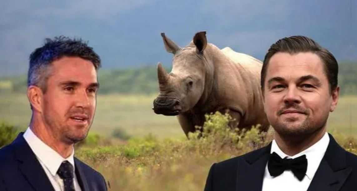 Not Just Leonardo DiCaprio, English Batsman Kevin Pietersen Once Batted For Indian Rhinos
